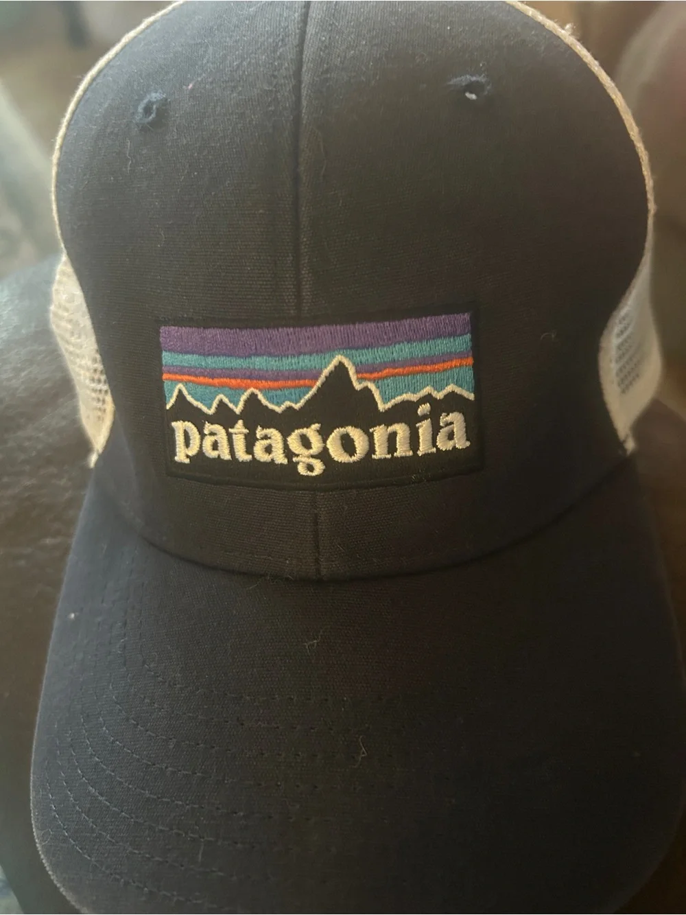 Patagonia  Truckers Hat